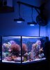 DSC02793.jpg