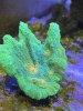 39BB685C-2346-4883-B1D4-EA7AAA223565.jpeg