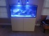 20201104_074552.jpg