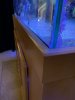 IMG_6044.jpg