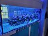 20201107_120749.jpg