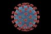 a_science_reader_for_covid_19_1050x700.jpg