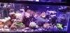 20201128_133538.jpg