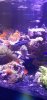 20201128_133622.jpg