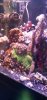 20201128_133640.jpg