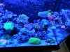 IMG_20201214_161610.jpg