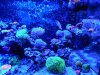 IMG_20201214_161549.jpg