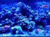 IMG_20201214_161543.jpg