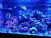 IMG_20201214_161536.jpg