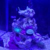 IMG_20201220_185353_190.jpg