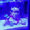 IMG_20201220_185353_189.jpg