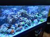IMG_20201223_215411.jpg