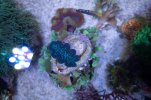 DSC03911.jpg
