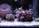 DSC03914.jpg