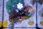 DSC03917.jpg