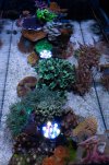 DSC03705-2.jpg