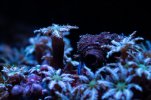 DSC03642.jpg