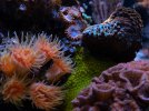 DSC03394.jpg