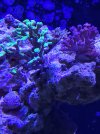 20210131_183137.jpg