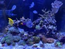 45AEFCFE-DEB7-4F19-AB6C-87C4885B6E36.jpeg