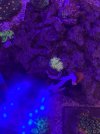 AA373CA9-CF1A-45E2-88E9-666FF61A4592.jpeg