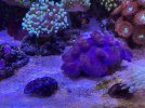 B585E6DB-D150-4B9B-8C14-2CCB81A39ED0.jpeg
