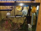 discus 2-15-21.jpg