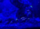 EDCB3D7A-5045-407F-884F-A108DB2456FD.jpeg