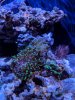 IMG_20190318_173553.jpg