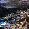 E5309587-F79E-461B-9587-D08CAADF8463.jpeg