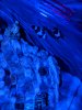 IMG_20190325_210724.jpg