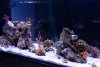 DSC03915.jpg
