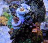 IMG_20190325_165630.jpg