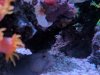 IMG_20190324_223408.jpg