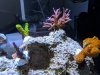 IMG_20190324_160154.jpg