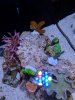 IMG_20190324_160001.jpg