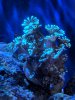 IMG_20190402_180527.jpg