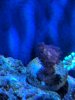 IMG_20190402_180621.jpg