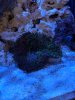 IMG_20190402_180651.jpg