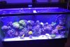 DSC_0180.JPG