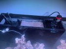 IMG_0718.jpeg