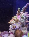 IMG_20210411_185828_227.jpg