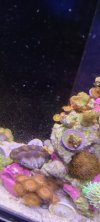 20210411_184955.jpg