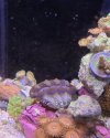 IMG_20210411_185828_290.jpg