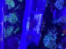 23697953-F120-4C01-82F2-31D73493B910.jpeg