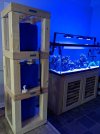 IMG_20200710_111410.jpg