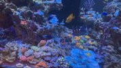 IMG_1021.jpeg