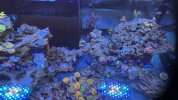 IMG_1024.jpeg