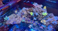 IMG_1025.jpeg