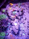 20210609_204739.jpg 20210609_204739.jpg